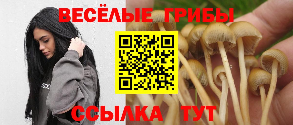 Псилоцибиновые грибы MAGIC MUSHROOMS  Вход с VPN  Петропавловск-Камчатский 